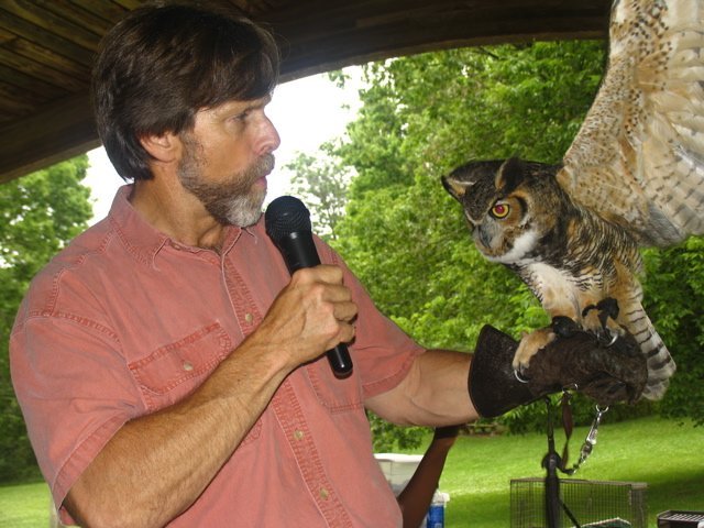 theowlswingspan.jpg